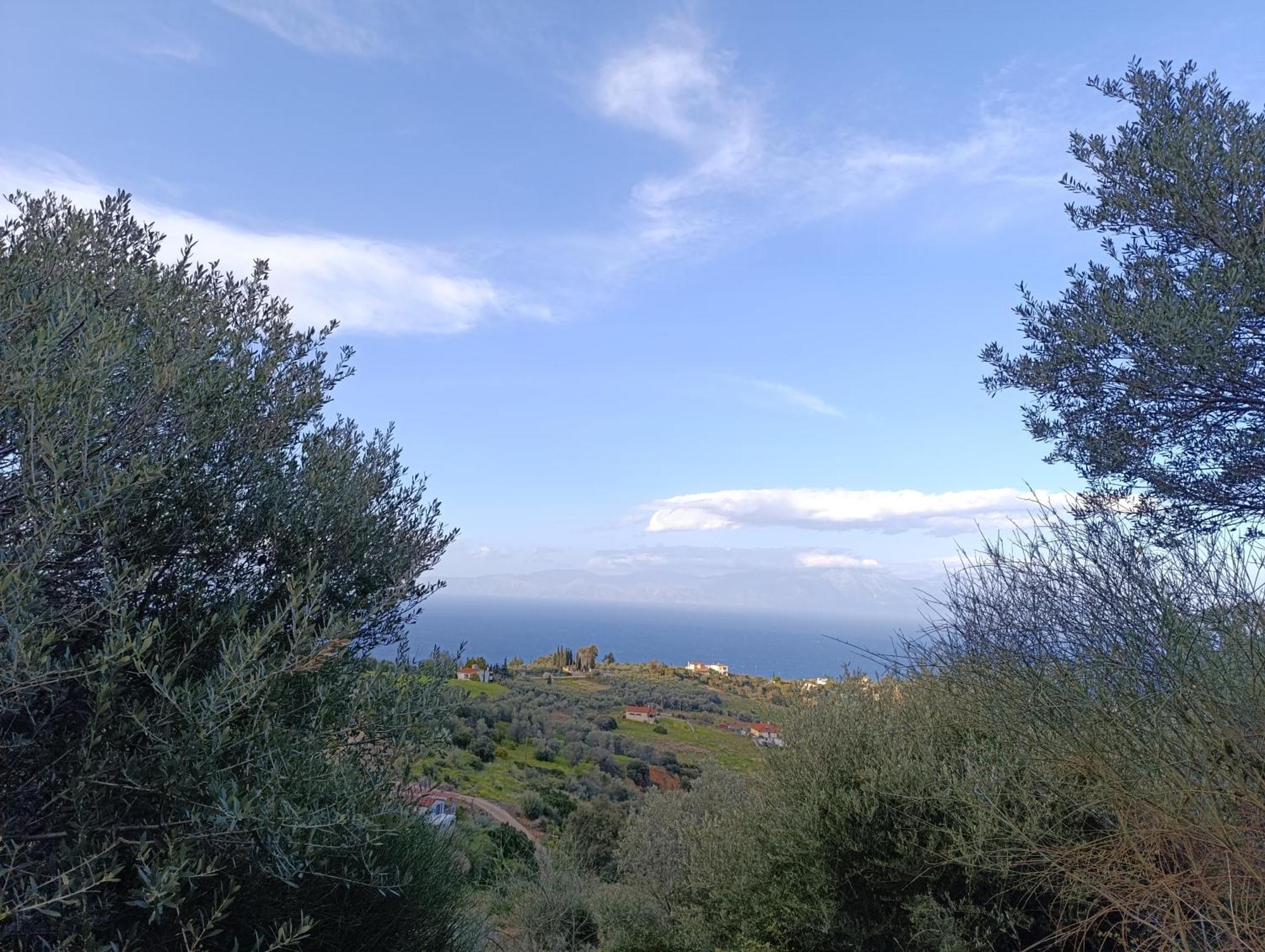 Apartment Altheas Maisonettes
