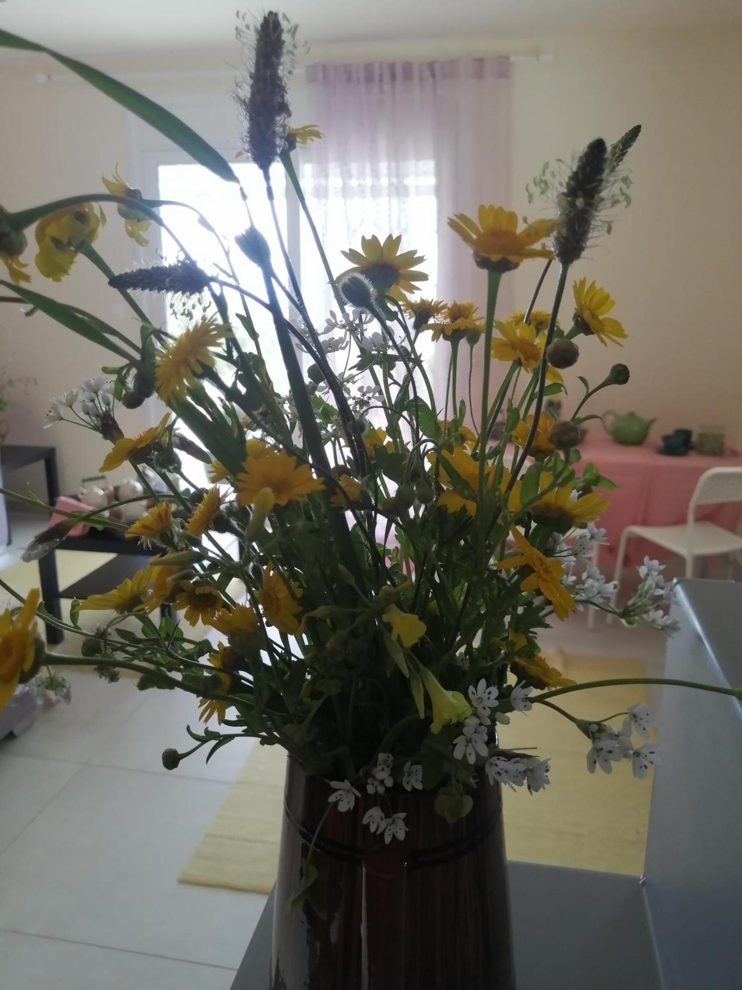 Altheas Maisonettes Apartment Xylokastro